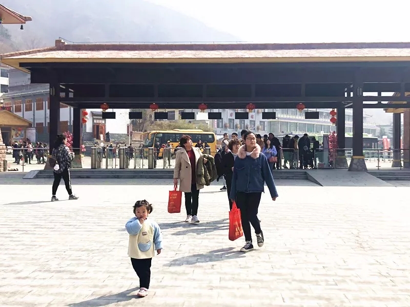 春风十里，不如有你陪伴