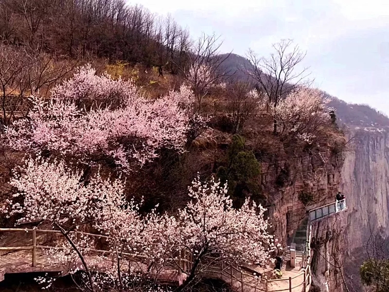 新乡南太行丨踏青八里沟，梦回桃花源！