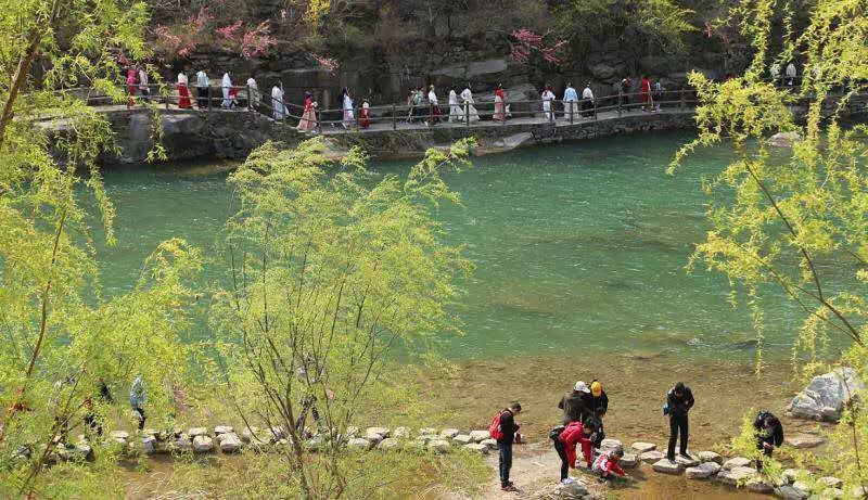 清明踏青赏花哪里去？最美人间四月天，穿越浪漫尽享新乡南太行...