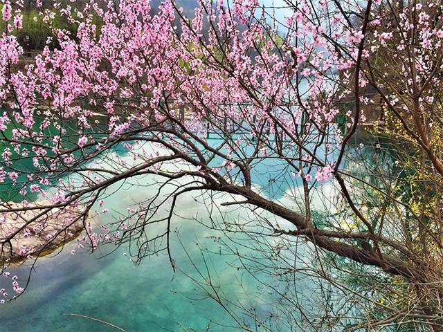 清明踏青赏花哪里去？最美人间四月天，穿越浪漫尽享新乡南太行...