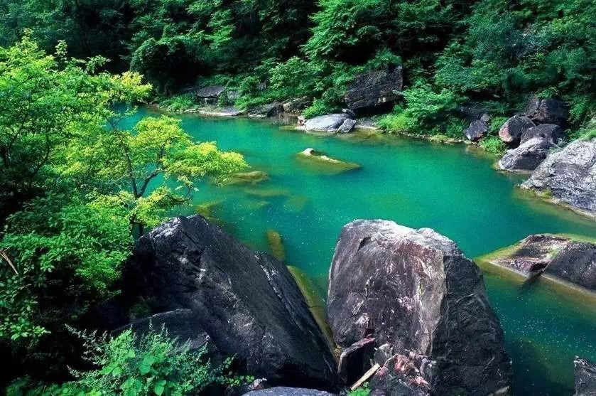 清明踏青赏花哪里去？最美人间四月天，穿越浪漫尽享新乡南太行...