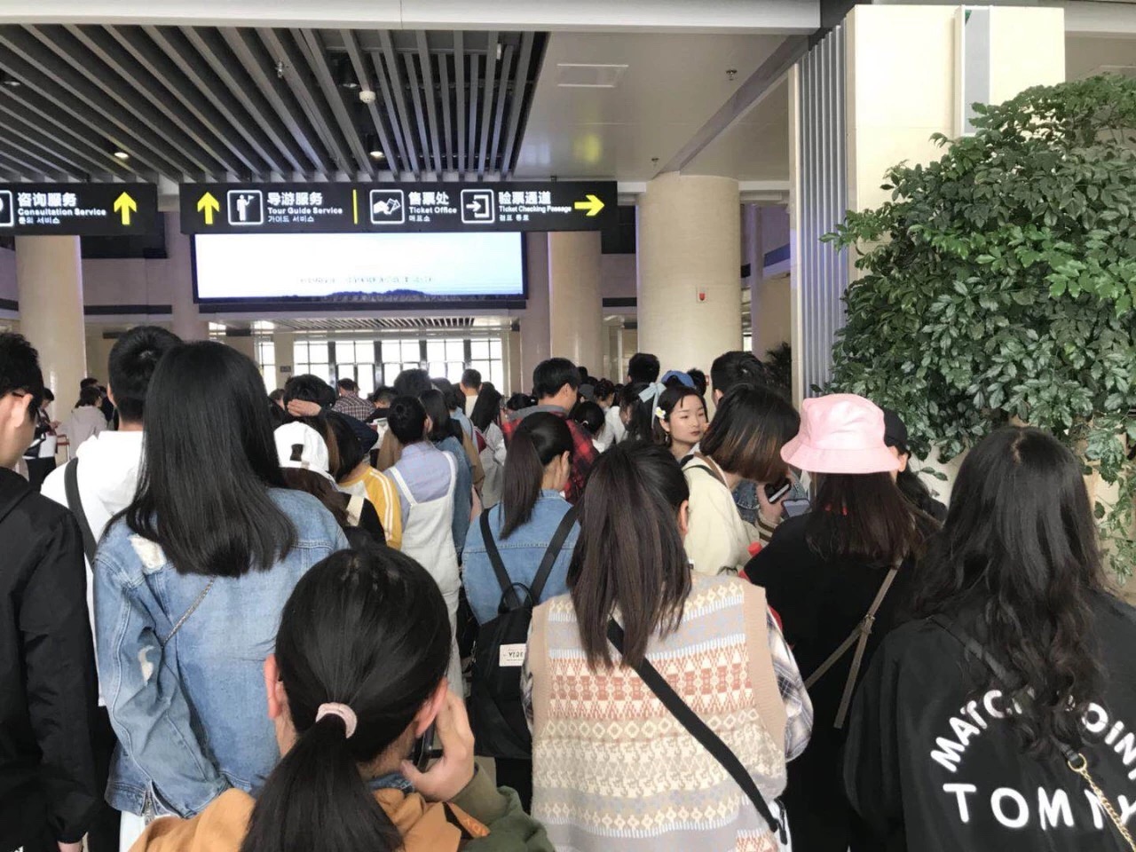 新乡南太行清明小长假实况播报
