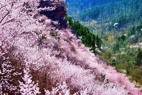 新乡南太行|喜迎游客高峰，“清明”小长假完美收官....