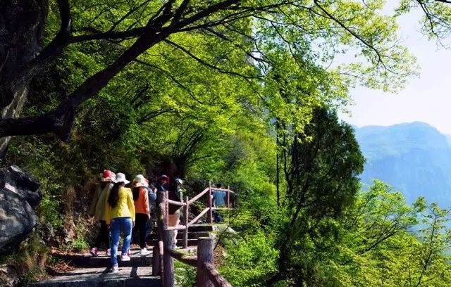 新乡南太行|春游踏青、登高望远追寻春天的足迹，沐浴春日的温暖。