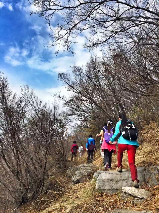 暮春之初，关于新乡南太行的这几件事你做了吗？