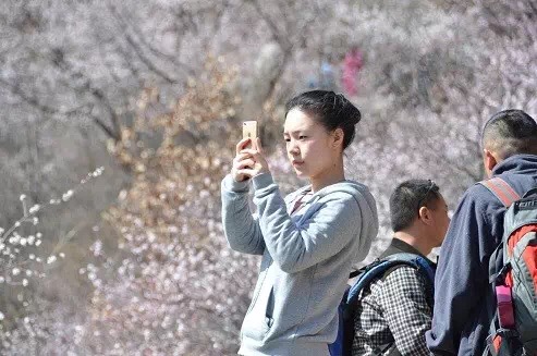 暮春之初，关于新乡南太行的这几件事你做了吗？
