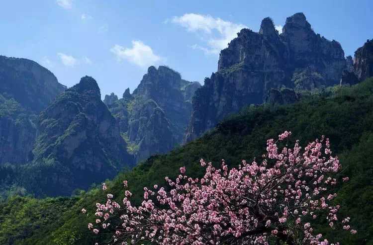 太行山最适合登山踏青赏花的好地方，简直美爆了！