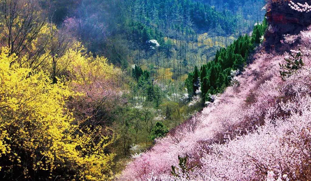 太行山最适合登山踏青赏花的好地方，简直美爆了！