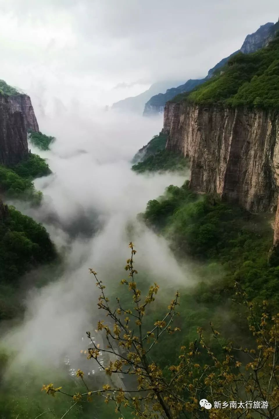 【世界地球日】关爱地球我们一直在行动，地球不再去流浪！