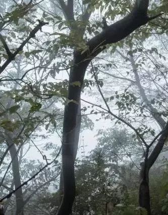 雨后的关山竟然这么美，美的让人窒息....