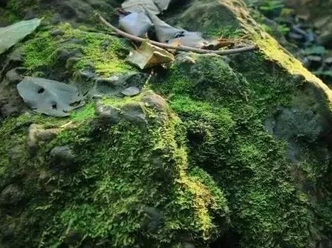 雨后的关山竟然这么美，美的让人窒息....