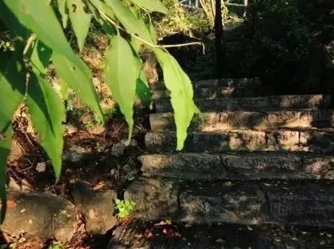雨后的关山竟然这么美，美的让人窒息....