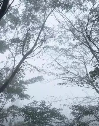 雨后的关山竟然这么美，美的让人窒息....