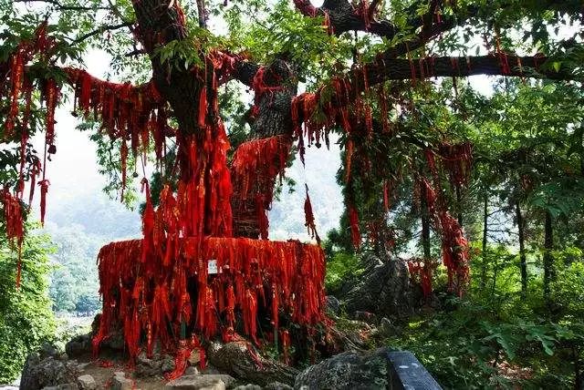 夏日炎炎哪里去？快来新乡南太行！