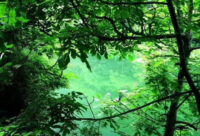 夏日冰淇淋层层滋味，在这里寻找一份你喜欢的夏日味道......