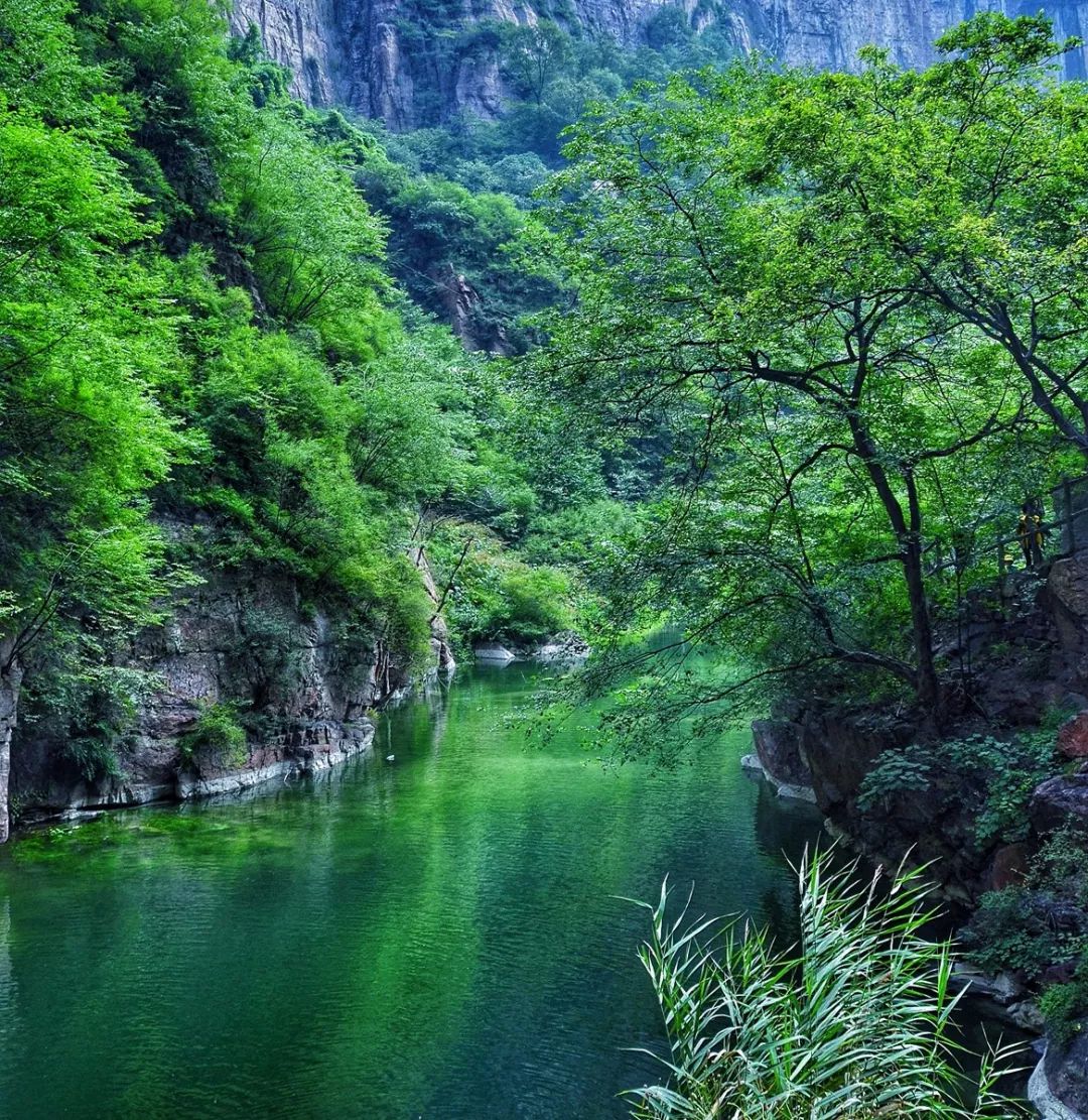 夏日“烧烤”模式即将开启，快来新乡南太行乘凉避暑！