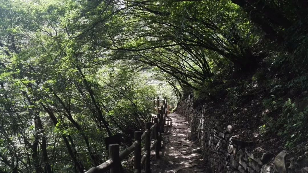 新乡南太行|雨中漫步太行山，领略另一种别致的美！