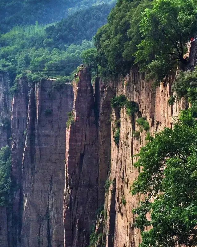 盛夏光年，正确的避暑方式竟然是这样的！