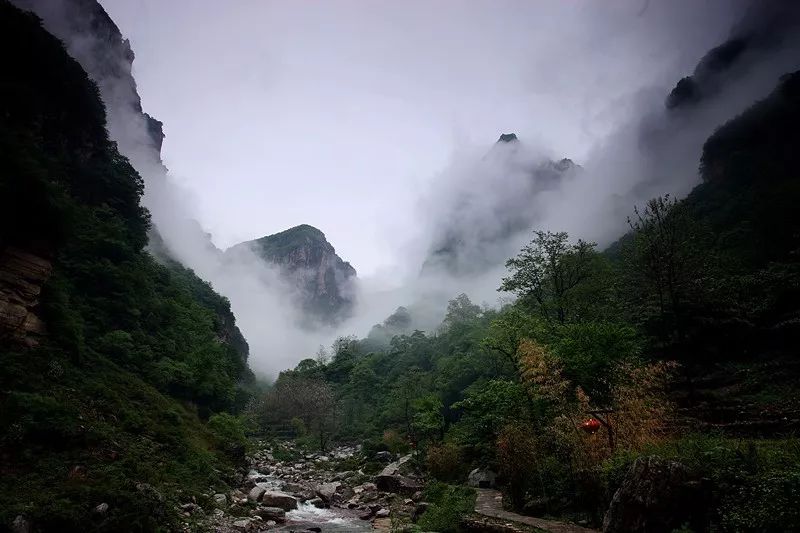 盛夏光年，正确的避暑方式竟然是这样的！