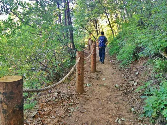 最美的风景在路上，新乡南太行国际登山健身步道，你敢来挑战吗？