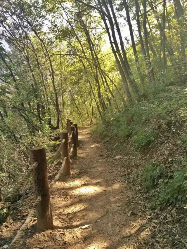 最美的风景在路上，新乡南太行国际登山健身步道，你敢来挑战吗？