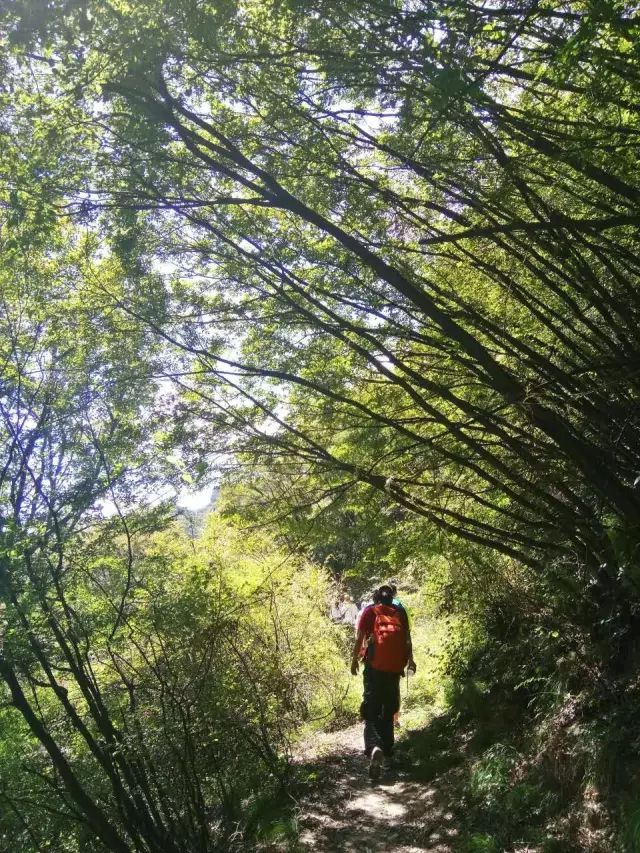 最美的风景在路上，新乡南太行国际登山健身步道，你敢来挑战吗？