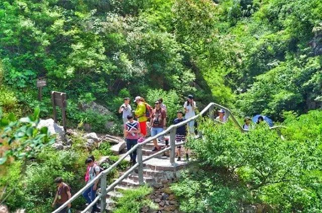 暑假余额不足吓坏宝宝，赶紧来这里吸个氧....