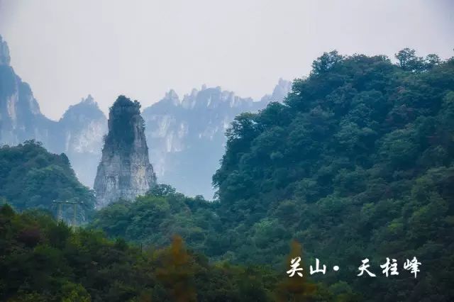 暑假余额不足吓坏宝宝，赶紧来这里吸个氧....