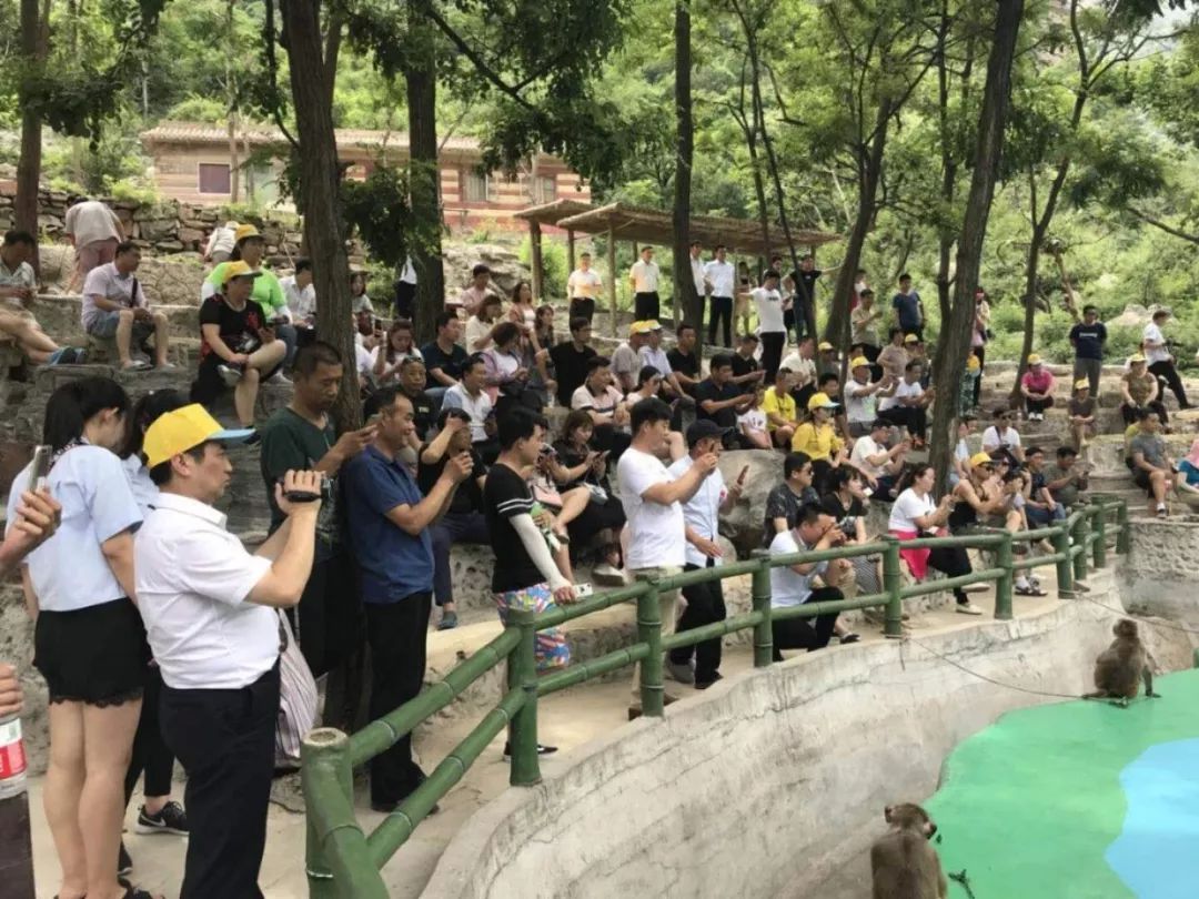 雄关险道，勇闯关山！自驾之趣，尽在关山！