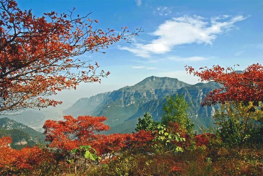 绚烂多彩的秋天，尽在万仙山！