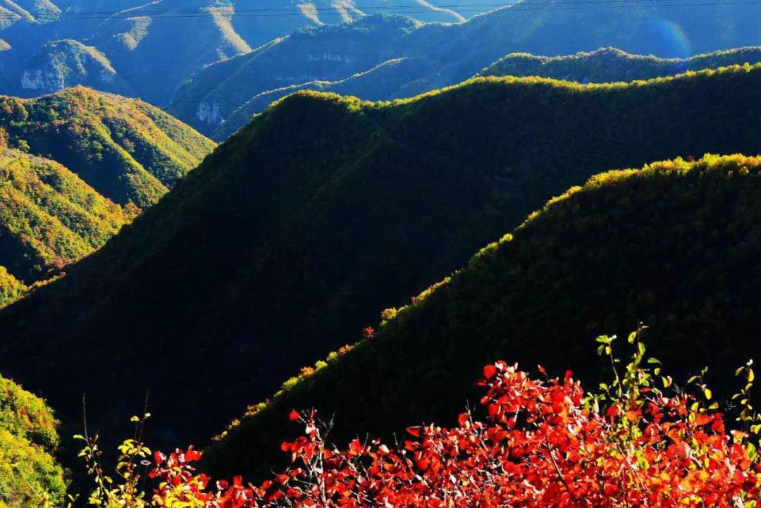 绚烂多彩的秋天，尽在万仙山！