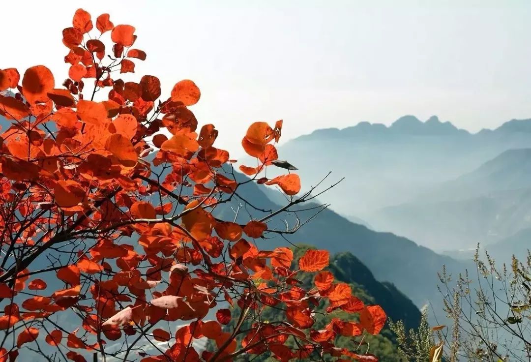 绚烂多彩的秋天，尽在万仙山！