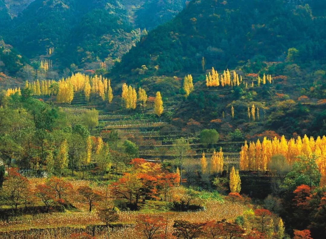 绚烂多彩的秋天，尽在万仙山！