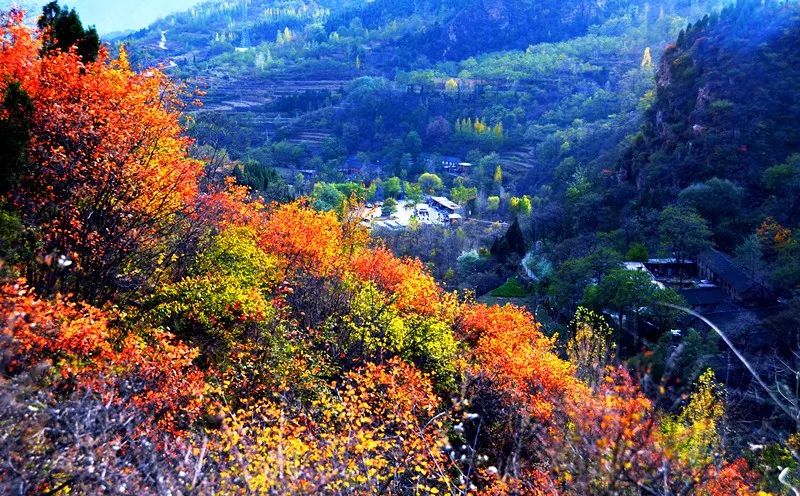 绚烂多彩的秋天，尽在万仙山！