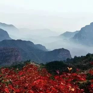 来看看北纬35°的秋天，这里惊艳了整个中国.....