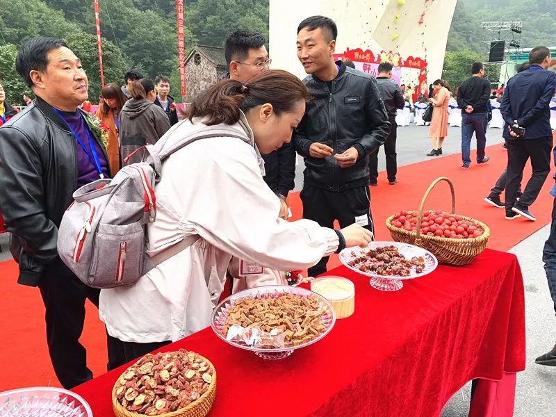 2019新乡南太行山楂文化节暨摇滚之夜在万仙山正式开幕！