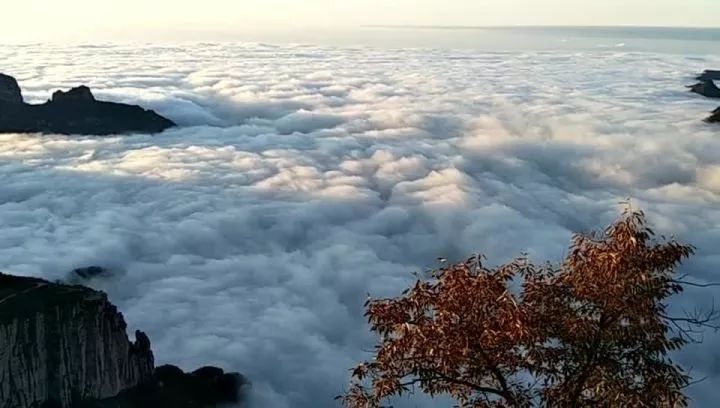 虽说有风有雨 有阴有晴 只有真心经历 这个国庆才会不虚此行 ​....