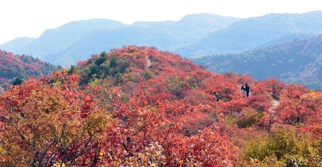 【征集令】河南省第九届“三山同登”群众登山健身大会南太行关山会场暨河南省首届山地户外挑战赛开始征集报名啦！