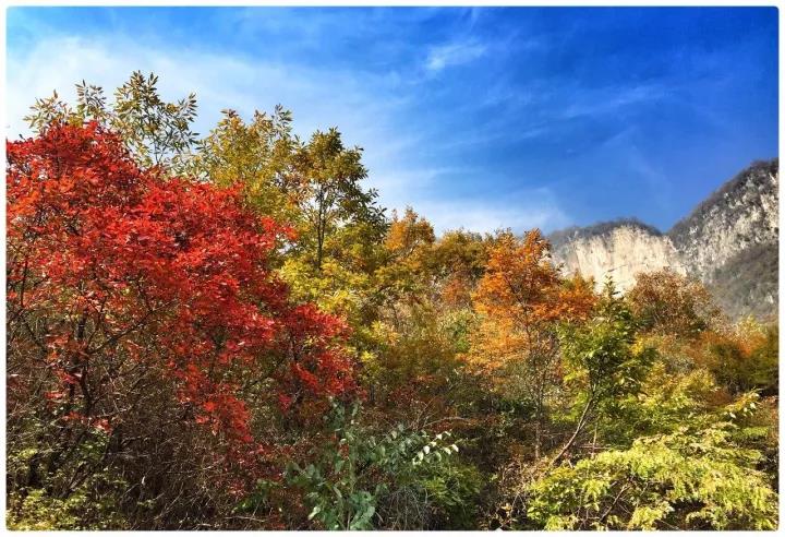 金秋十月游关山，游山玩水赏红叶，登高望远观美景！