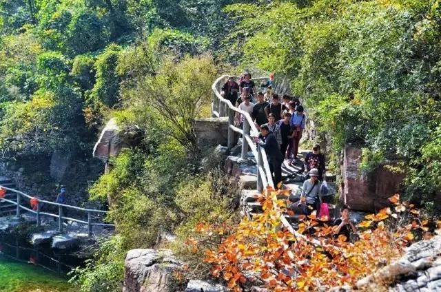 金秋十月游关山，游山玩水赏红叶，登高望远观美景！