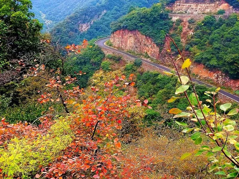 金秋十月游关山，游山玩水赏红叶，登高望远观美景！