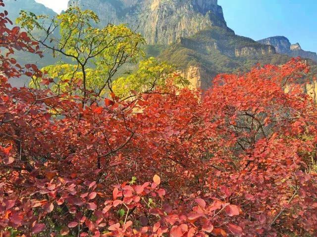 金秋十月游关山，游山玩水赏红叶，登高望远观美景！