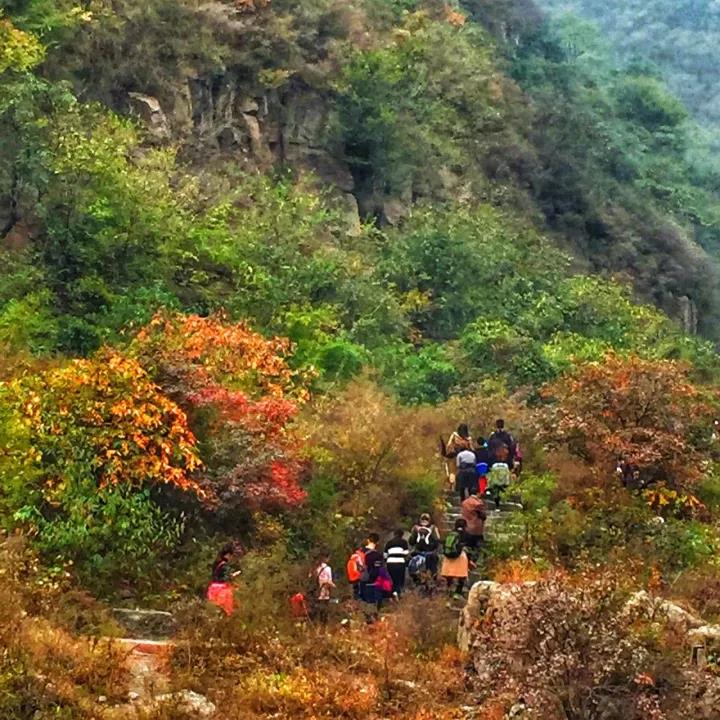 金秋十月游关山，游山玩水赏红叶，登高望远观美景！