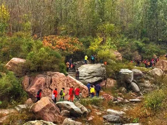 金秋十月游关山，游山玩水赏红叶，登高望远观美景！