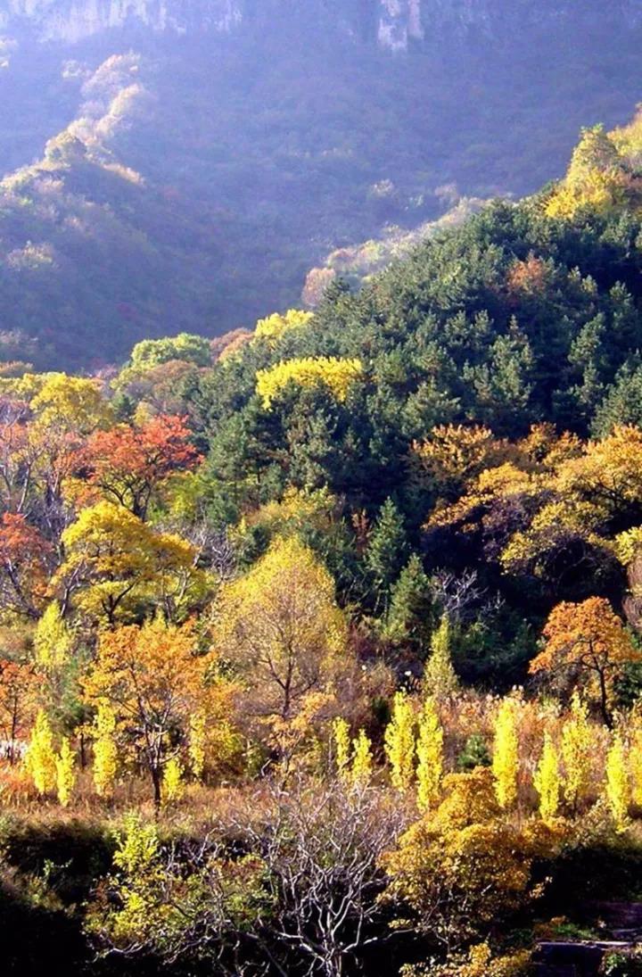 品太行山楂、赏太行秋叶、享登山健身，这个秋天来新乡南太行就要这么嗨！