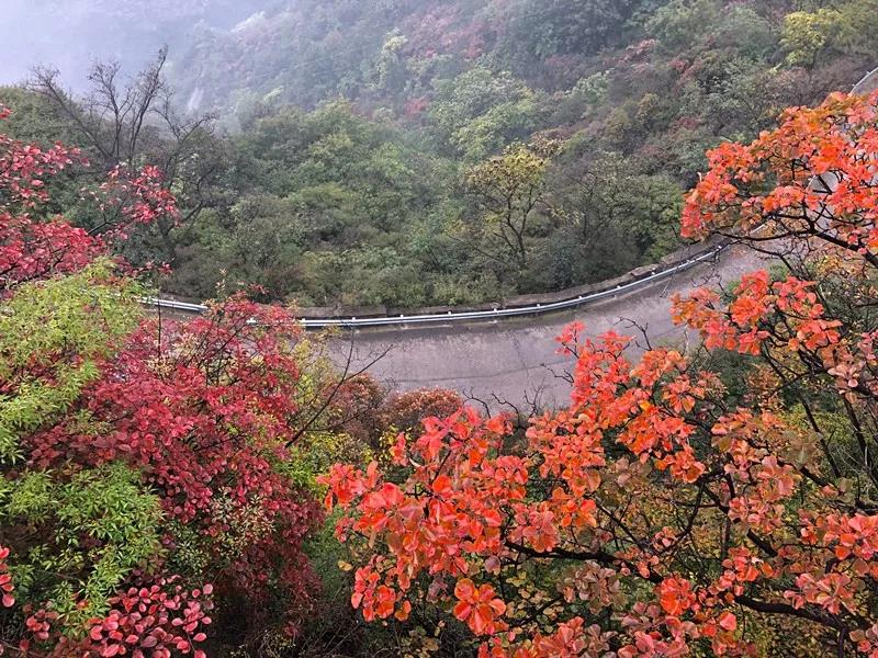 明日之约|多彩太行，红叶之约；山地越野，户外岩降；登高望远，赏秋健身。