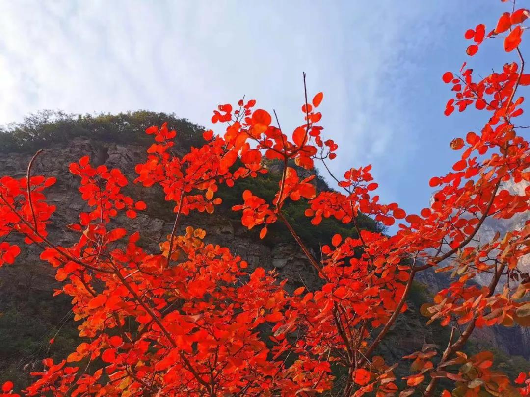 第九届“三山同登”群众登山健身大会新乡南太行会场暨河南首届山地户外挑战赛”在关山举行