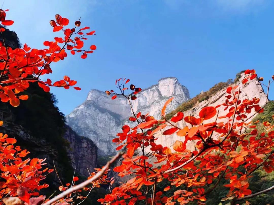 第九届“三山同登”群众登山健身大会新乡南太行会场暨河南首届山地户外挑战赛”在关山举行