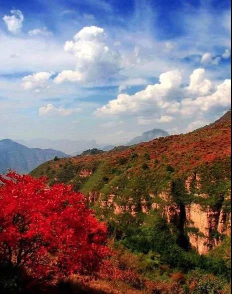 阳光大好，秋色正浓，快来新乡南太行赴深秋之约...