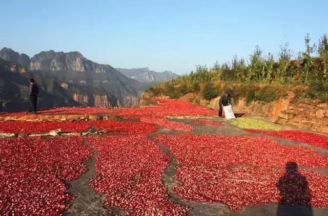 阳光大好，秋色正浓，快来新乡南太行赴深秋之约...